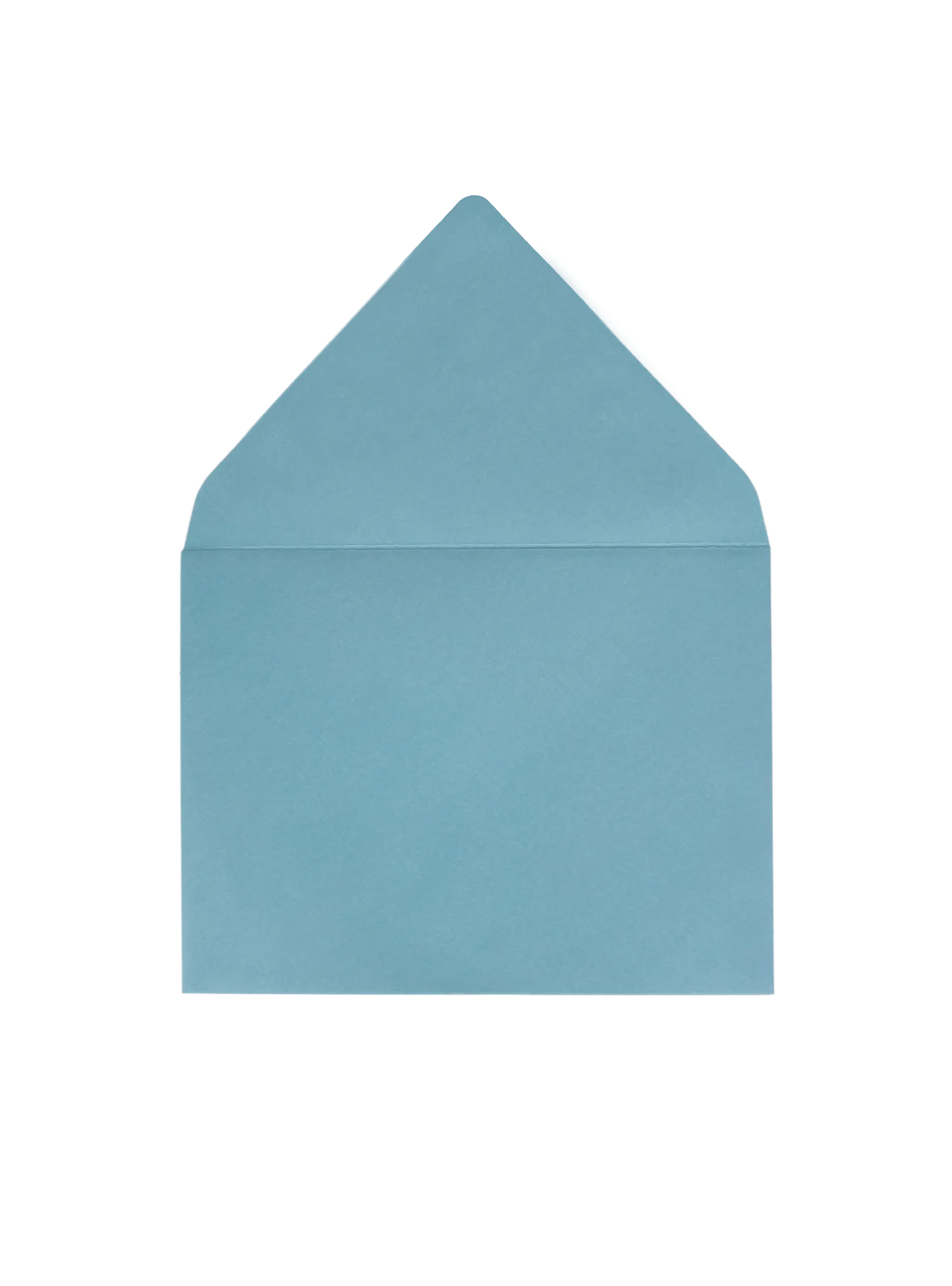 Please Furgive Me Greeting Card